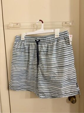 Ermenegildo Zegna Light Blue and White Striped Swim Trunks NWT